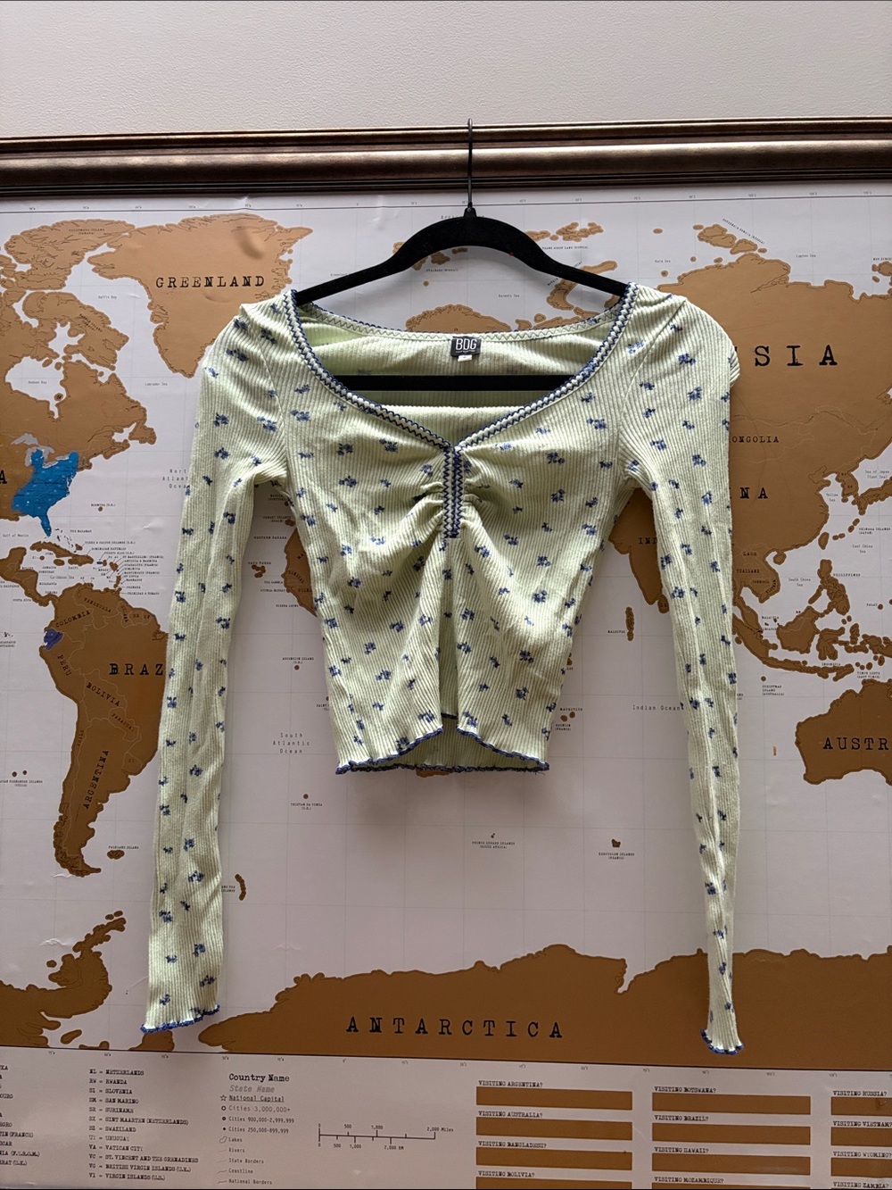 BDG Pale Green Ribbed Long Sleeve Crop Top with Blue Floral Accents